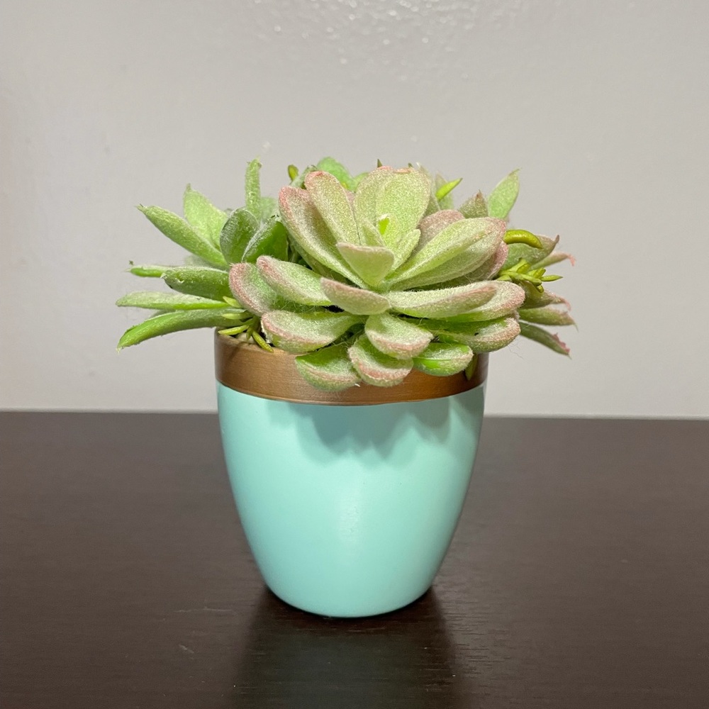Small Faux Succulent